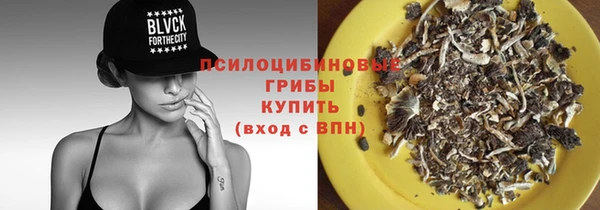 марки nbome Дмитриев
