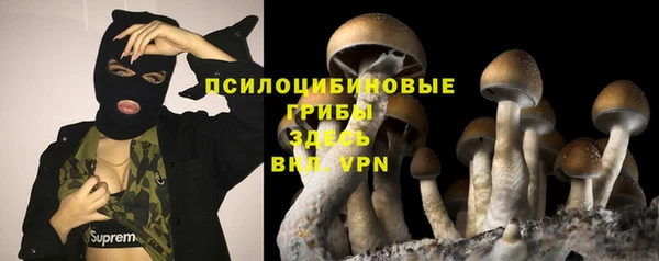 индика Елизово