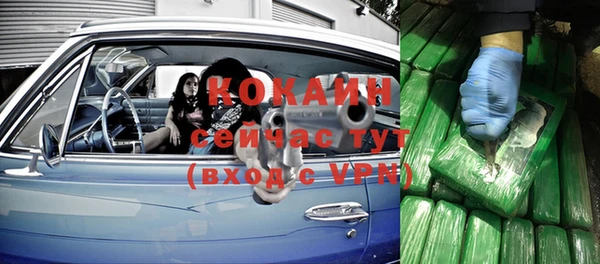 бошки Дмитров