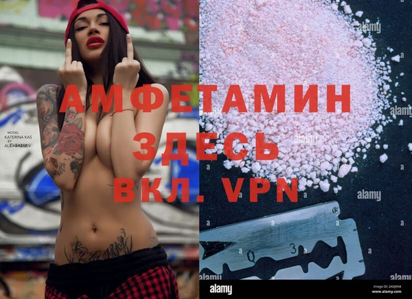 бошки Дмитров