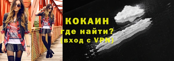 бошки Дмитров