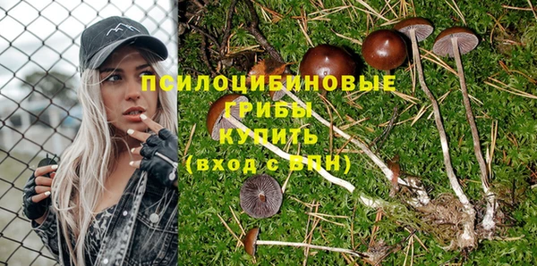 2c-b Дмитровск