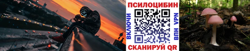 Галлюциногенные грибы мухоморы  дарнет шоп  Черкесск 